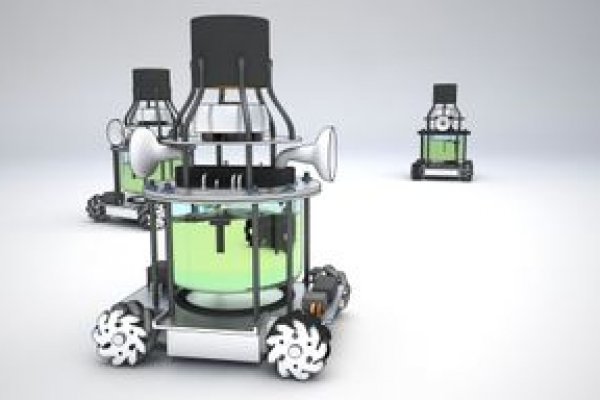 Тор для кракена